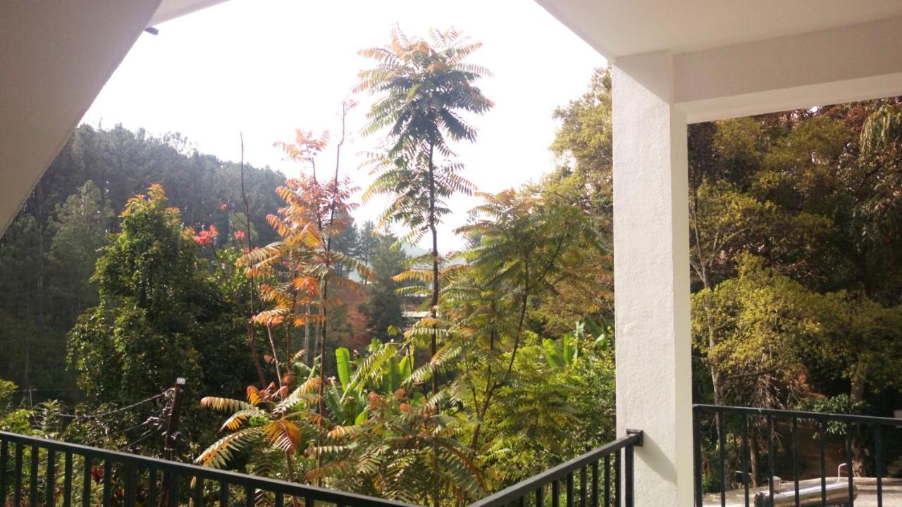 Misty Elegance - Ella. Hotel Exterior foto